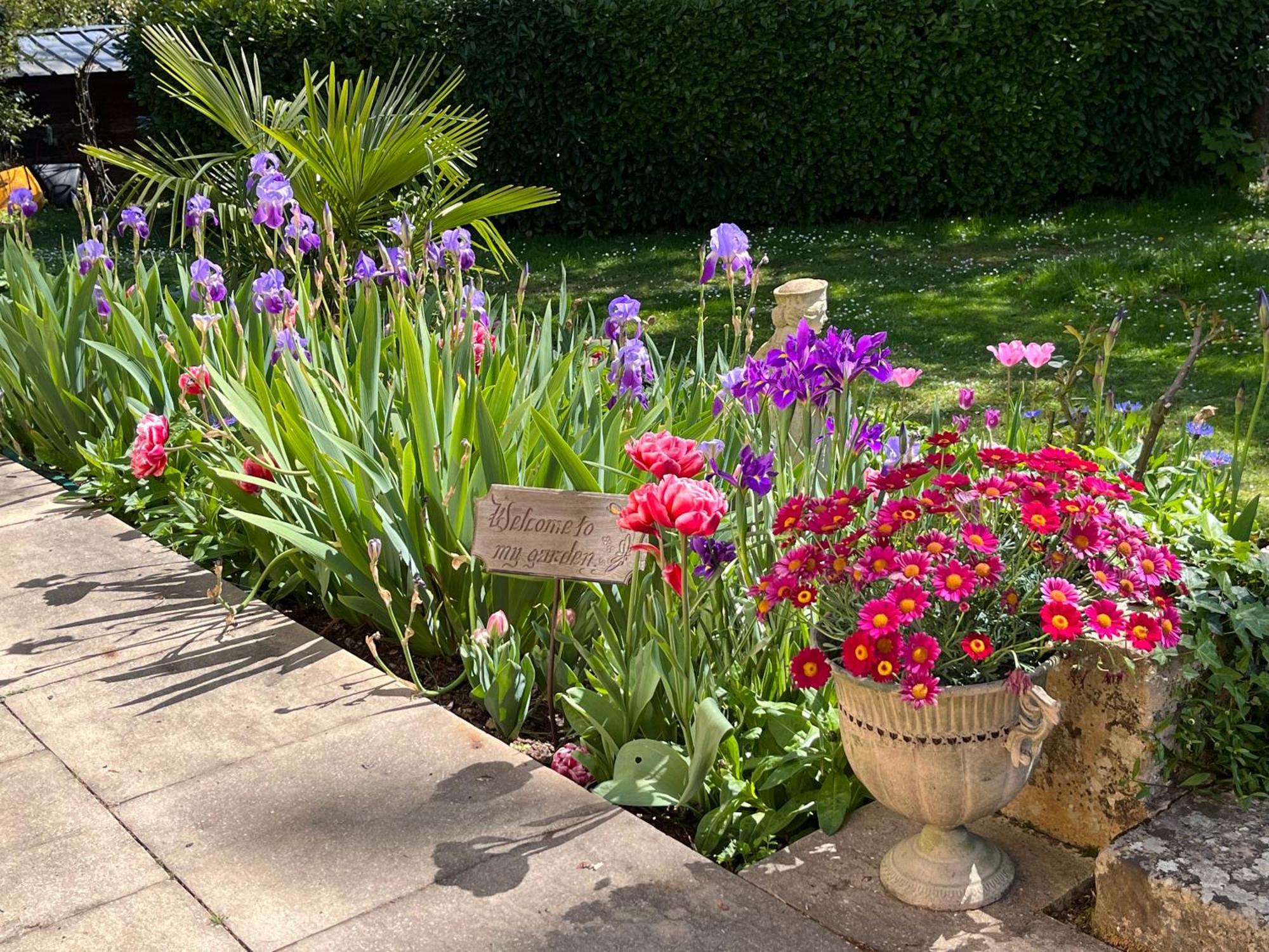 Le Bouquet Bleu Bed And Breakfast Siorac-en-Périgord 외부 사진